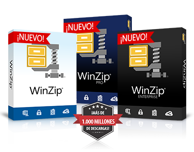 Winzip microsoft store edition что это