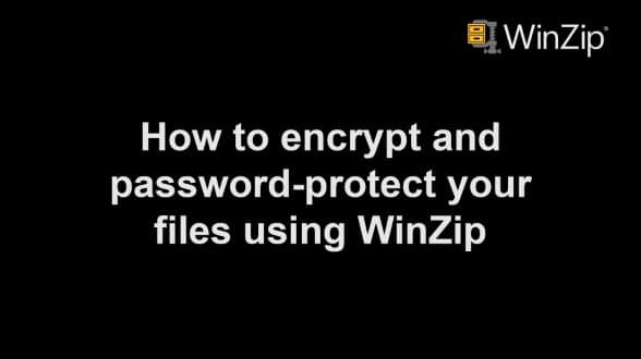 How to encrypt and password-protect your files