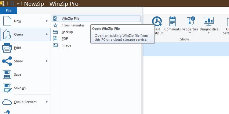 how do i not use winzip for download
